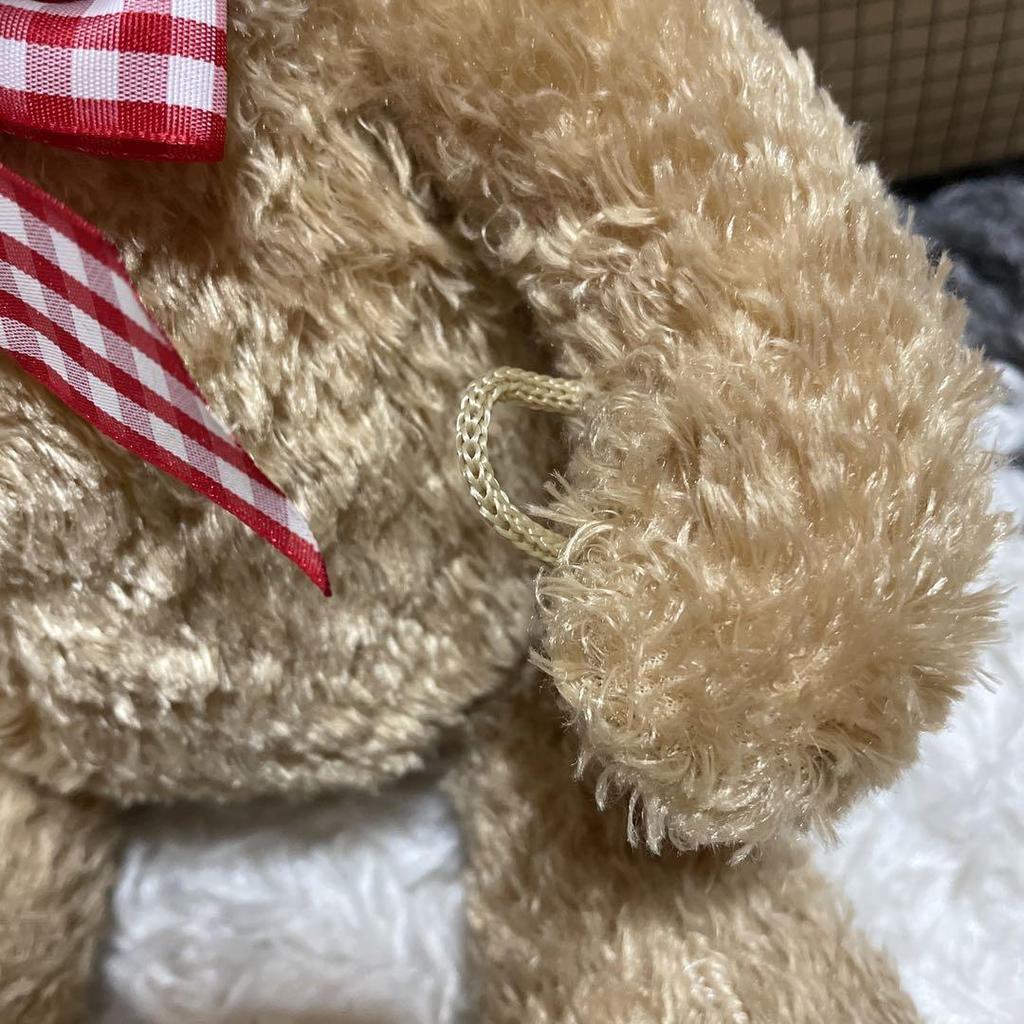 [USED] Teddy Bear Cute Stuffed Toy Interior Bear