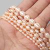 Irregular Baroque Raw Natural Freshwater Pearl Beads Rice Shape 100% Natural Pearls Beads for Jewelry Making DIY Women Bracelets