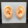 Silicone Ear Model for Training, Display & Ear Studs or Earphones