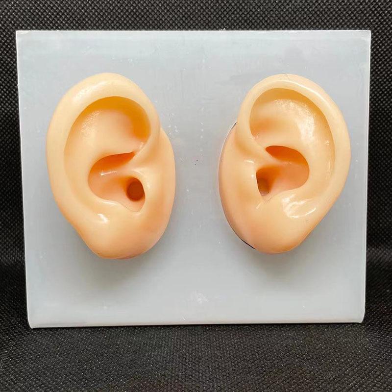 Silicone Ear Model for Training, Display & Ear Studs or Earphones