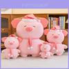 Adorable Goodnight Pig Plush Toy Perfect Birthday Gift For Girls Stuffed Doll