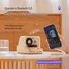 Round-X20 Retro-Kassettenrekorder Bluetooth-Lautsprecher