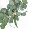 Eucalyptus Money Leaf Wreath Garland 50x50cm Artificial Greenery Wall Decor