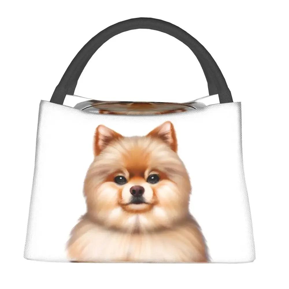 Cute Pomeranian Drawing Lunch Bags Insulated Bento Box Lunch Tote Picnic Bags Cooler Thermal Bag for Woman Kids School