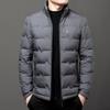 Veste Légère en Duvet de Canard pour Homme - Col Montant, Chaude pour l'Hiver, Idéale pour les Vêtements d'Affaires et Décontractés