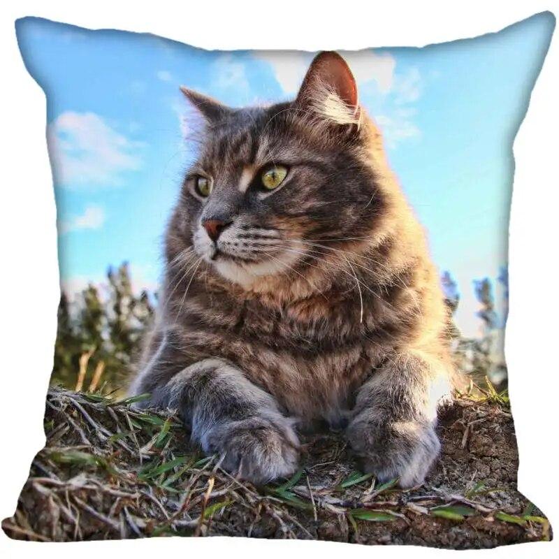 

Наволочка. Сучасний домашній кіт. Тварина. Вітальня 40x40cm