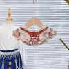 Elegant Hanfu Shawl Floral Pattern Hanfu Shoulder Collar Ancient False Collar  Costume Accessory