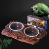 Reptiles Bowl for Feeding Watering Terrarium Bowls for Bearded Dragon Feeding Ledges Water Bowl for Chameleons Geckos
