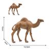 Realistic Camel Model Solid Dromedary Bactrian Static Toy Ornament Home Decor
