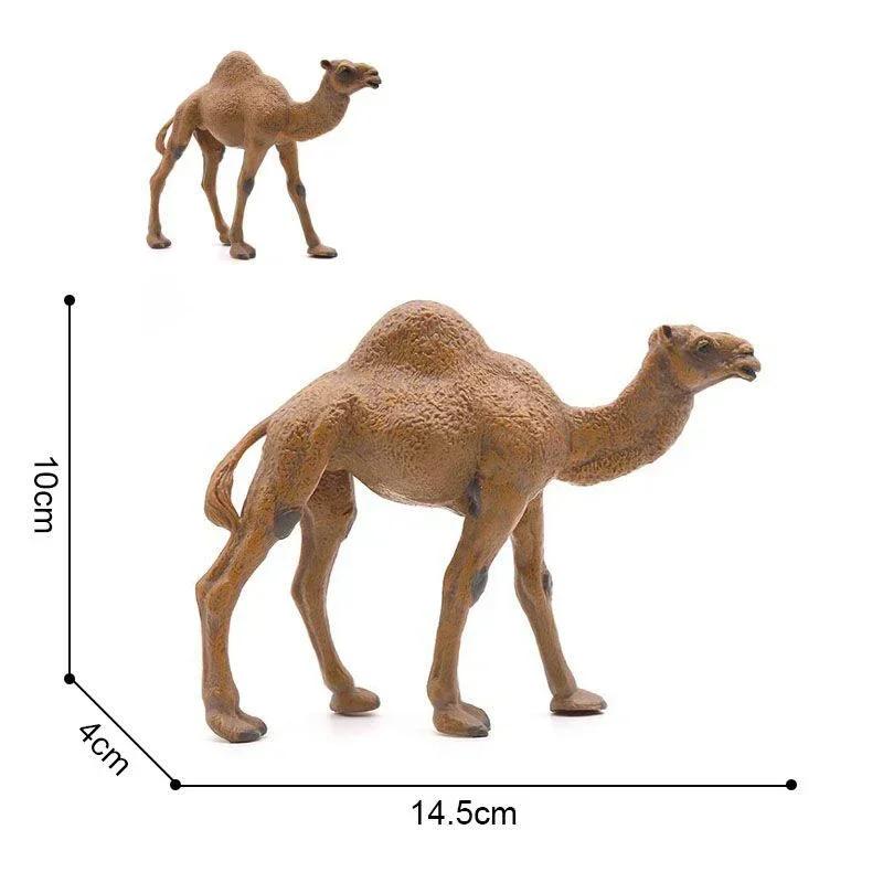 Realistic Camel Model Solid Dromedary Bactrian Static Toy Ornament Home Decor