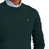Polo Ralph Lauren Merino Wool Crew Neck Knit Sweater Men Sweater 710667378-026