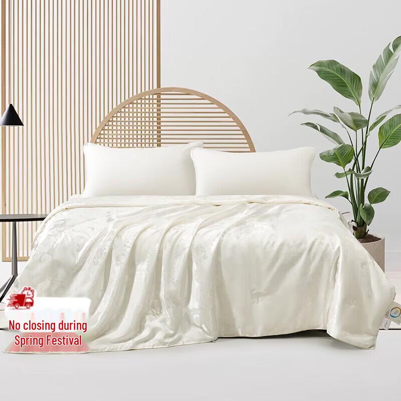 Mercury Home Textiles All-Season Polyester Quilt