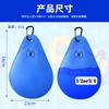 Winter Swimming Pool Cover Weight Bag