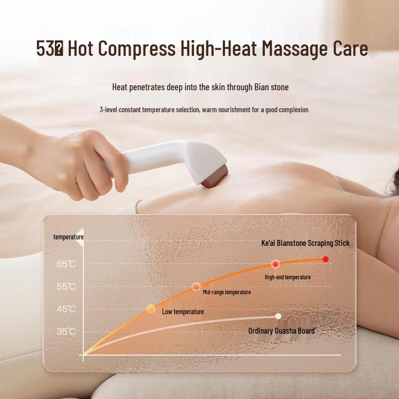Bian Stone Electric Gua Sha Massager Gift Set CN plug (adapter included)