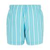Regatta Mens Loras Stripe Swim Shorts