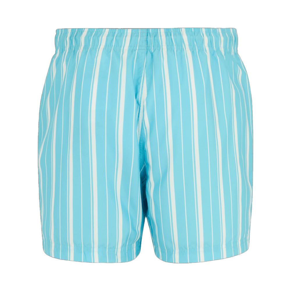 Regatta Mens Loras Stripe Swim Shorts