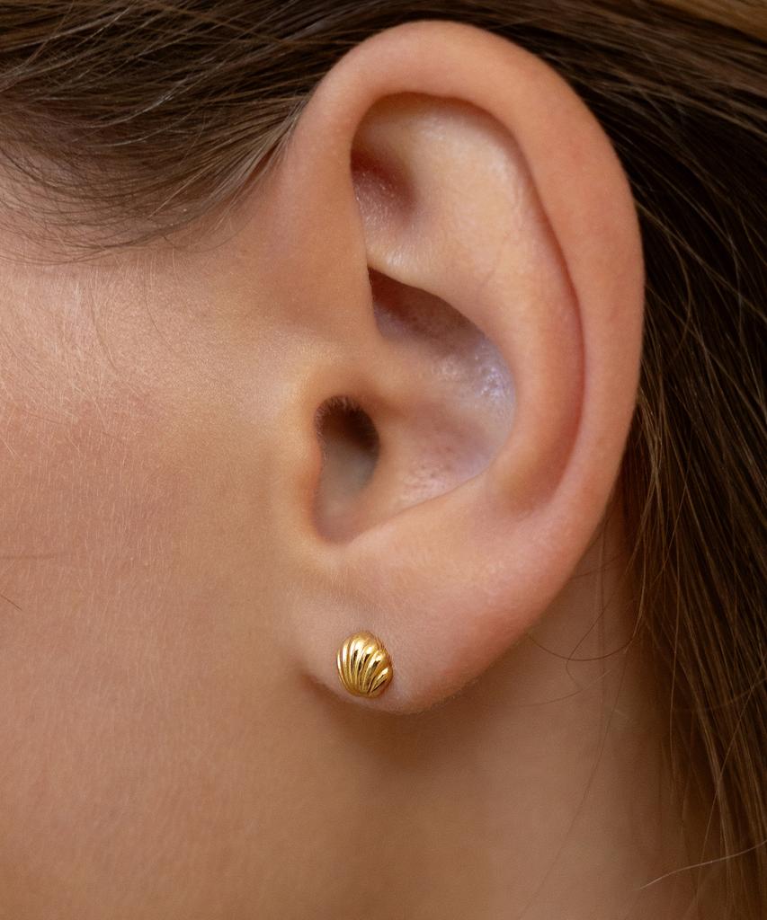 Tatiana (Silver 925) Mini Shell Earrings Ec3252