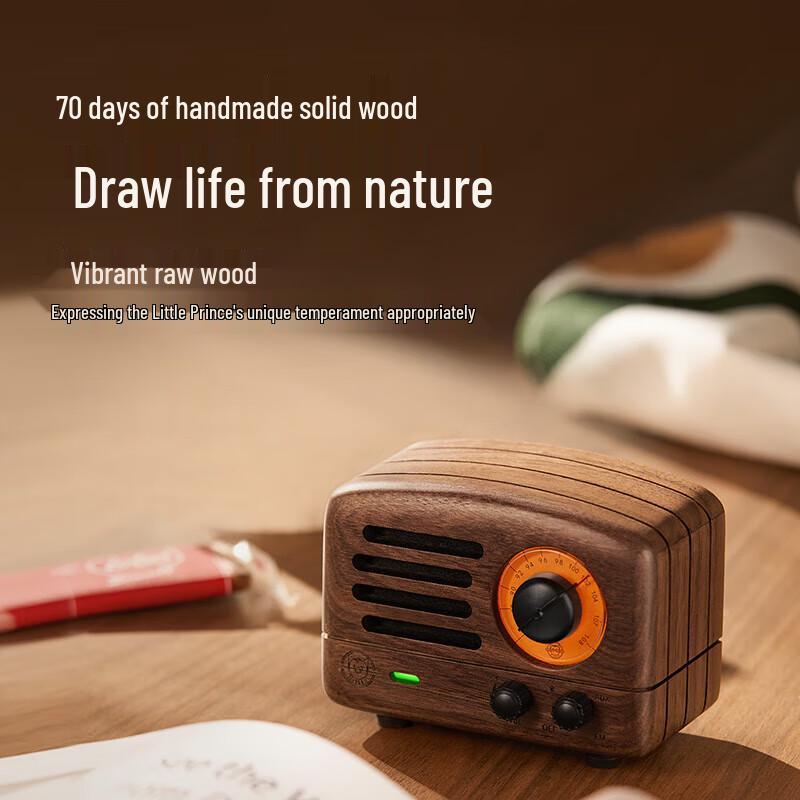 Mao Wang Little Prince MW-2A FM Bluetooth Speaker