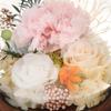 Regalo Festa della Mamma Ornamento Fiori Secchi con Luce Regali per Donne Garofano