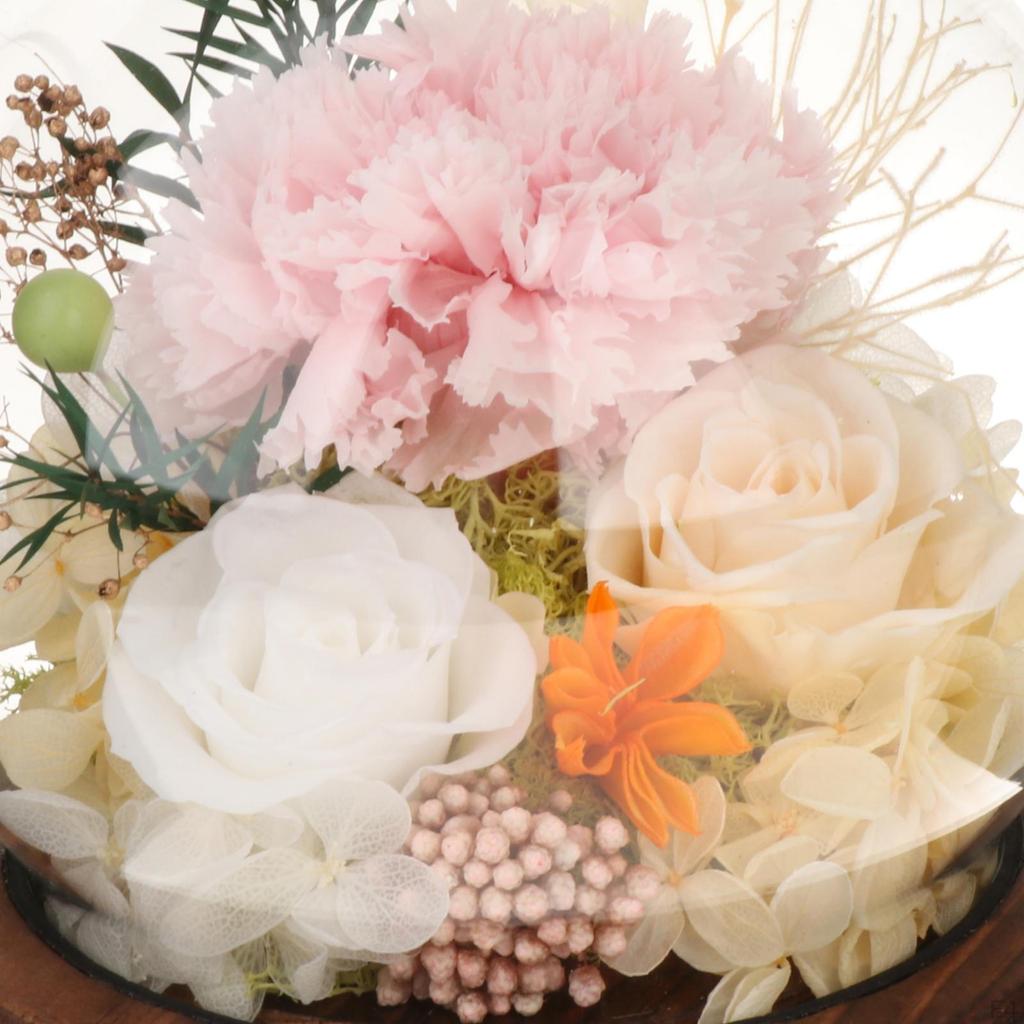 Regalo Festa della Mamma Ornamento Fiori Secchi con Luce Regali per Donne Garofano