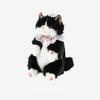 1Pcs Lolita Cartoon Personality Backpack With Sound Women Cat Plush Doll Small Capacity Daypack Cute Realistic Ragdoll Backpack