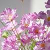 1pc Artificial Flower Stem, Valentine Day, Gift Gifts Birthday Graduation,Garden Decor,Outdoor Plant,Gardening,Fake Flowers