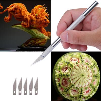 Coltello da intaglio del legno a 9 lame Strumento per scultura artigianale alimentare Coltello per incisione Utensile da taglio bisturi