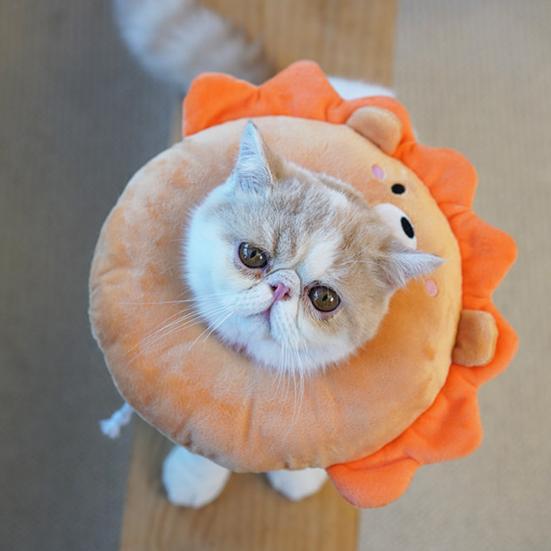 Cat Recovery Collar Super Soft Wear Resistant Nylon Cat Wound Healing Protective