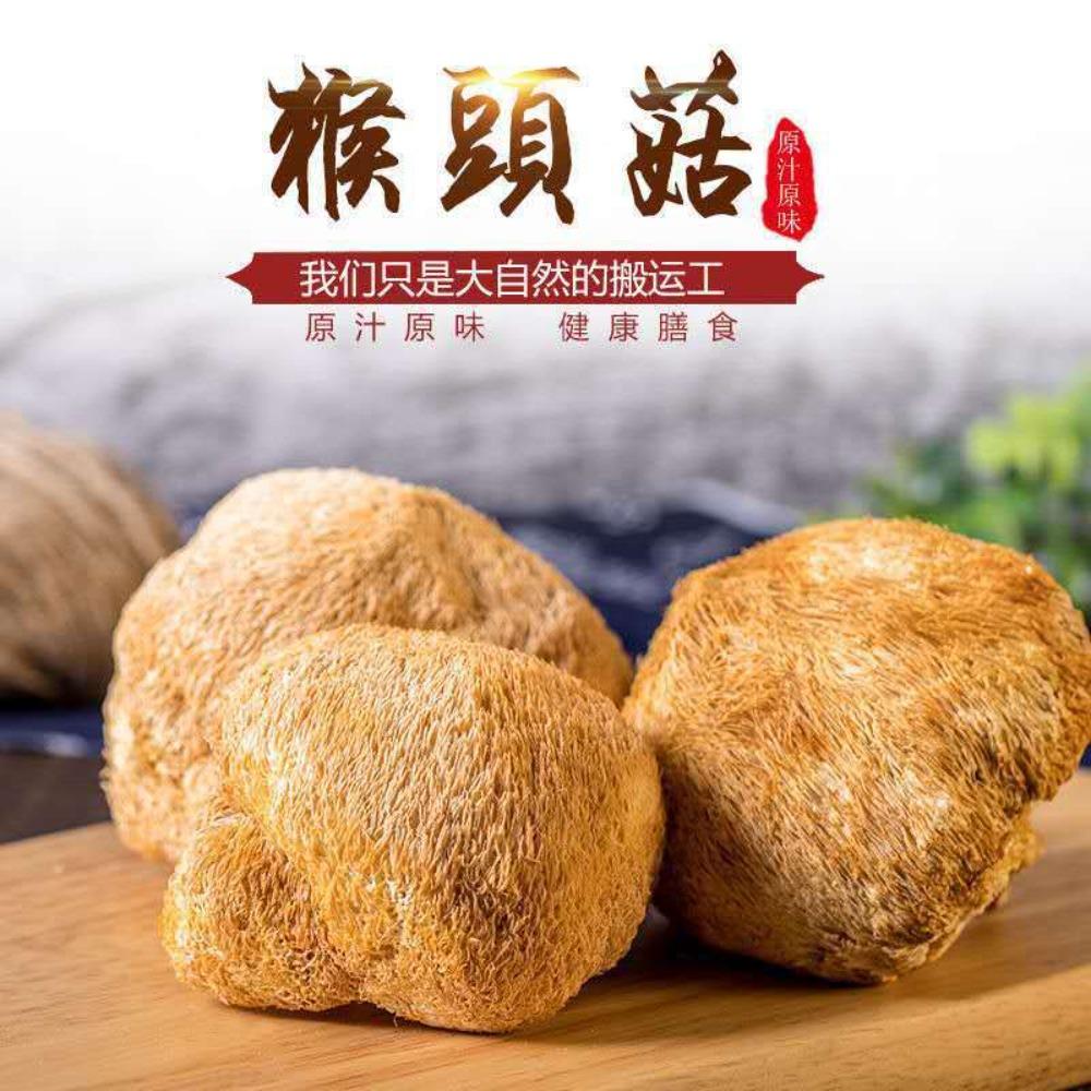 Lion s Mane Mushroom Powder 500g Natural Herbal Energy Focus Supplement 01