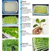 36 Planting Sites Garden Plant Vegetable Planting Grow Box Deep Water Culture System 4 Layers Horizontal Hydroponic Grow Kit Set
