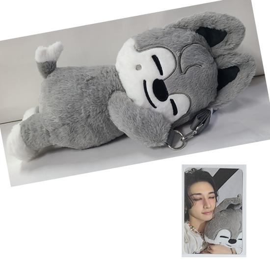 

Stray Kids SKZOO Plush Bag celebrATE ( with Photocard from POP UP)