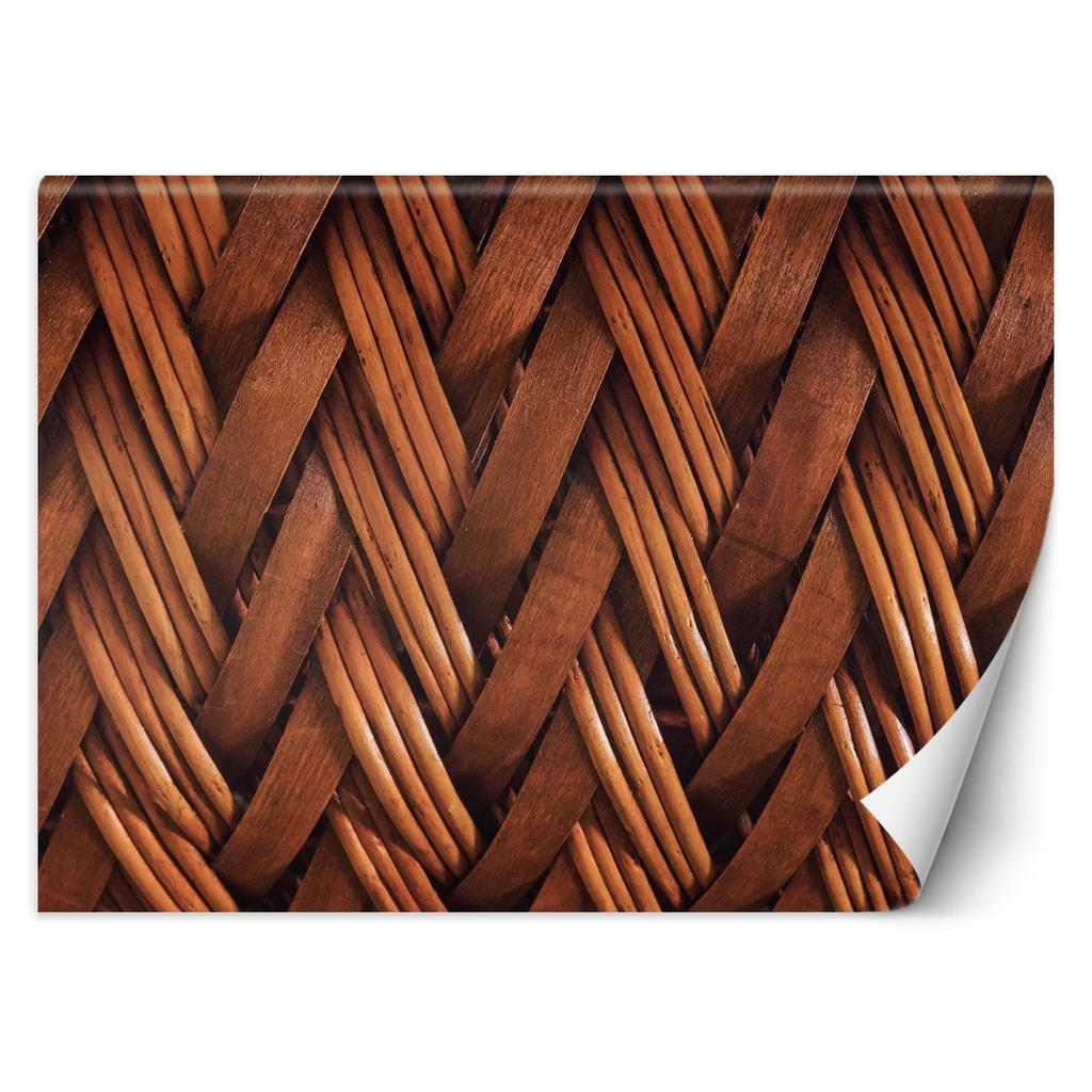 Wallpaper Willow Texture Retro