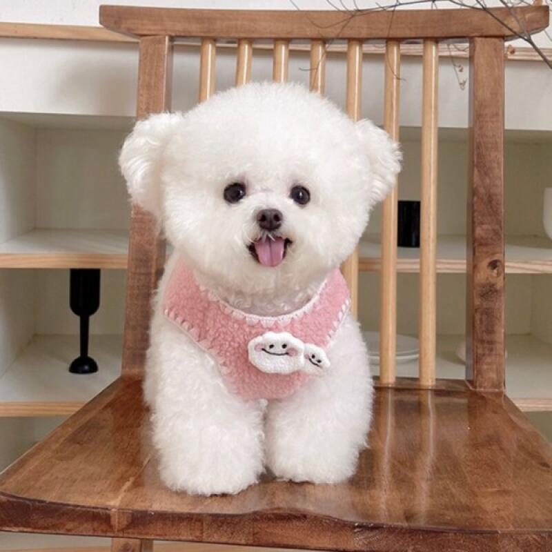 Cloud Pin Poggle Puppy Vest Fleece Vest pink