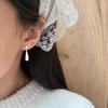 Fashionable Brushed Water Droplet Pendant Earrings, Niche Retro and Cool Temperament, Versatile and Compact Daily Earrings for Women