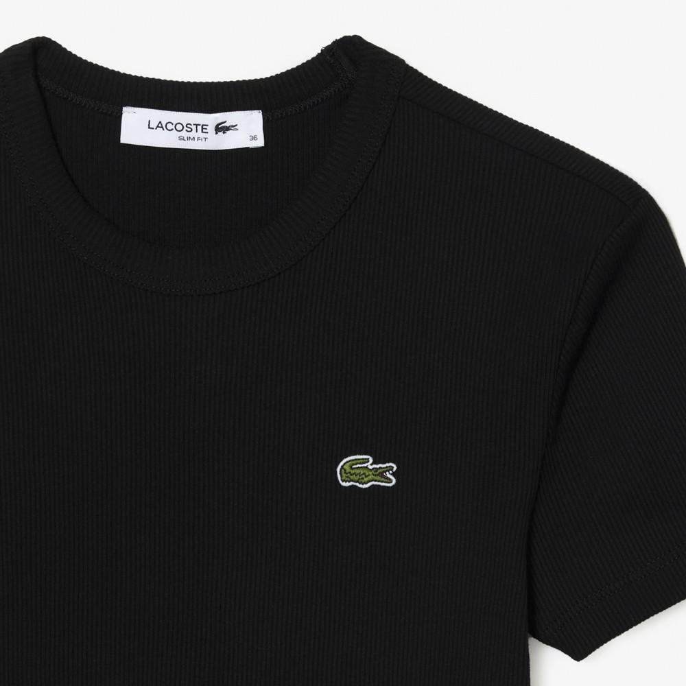 [lacoste] Women's Slim Fit Ribbed Short Sleeve T-shirt TF5538-56G031
