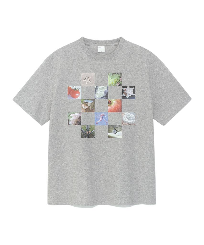 THE COLDEST MOMENT Tcm Checkboard T (Melange Gray)