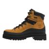 Botins e botas