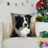 1 Stück Border Collie Kissenbezüge Schlafzimmer Sofa Quadratischer Kissenbezug Wohnzimmer Stuhl Kissenbezüge Innen Hausdekoration Geschenk