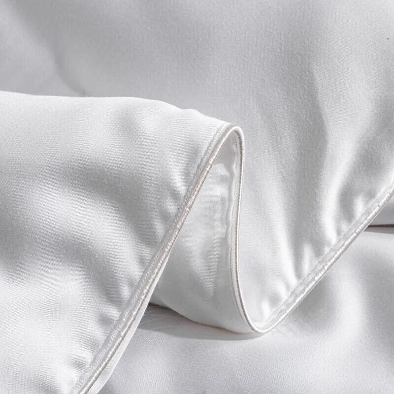 Jie Li Ya All-Season Tussah Silk Comforter