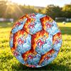 France Football Printed Size 5 Soccer Ball Wear Resistant Standard Adult Training Football Fan Gift for Indoor Outdoor Match Sports