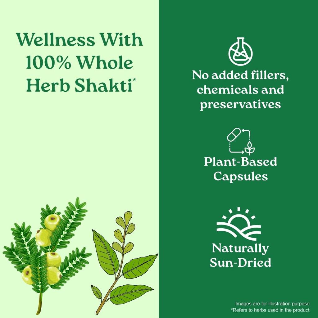 Organic India Triphala 60 Veg Capsules Pack of 3 Digestive Health Colon Support Immune Booster