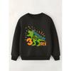 Kids Sweatshirt Registered Base Dinosaur 3rd Birthday Print -Lined Warm Boys' Round Neck Long Sleeve Top, Fashion Print Pattern Children's