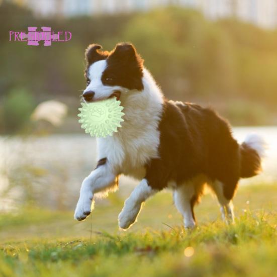 Әйел мен ит арасындағы жыныстық қатынас Наталья Фатеева трусисыз жалаңаш