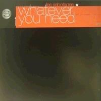 12inch Record LES SABOTAGES - Whatever You Need ZO2001045 Zounds 2001 Belgium Dance & Electronica Used