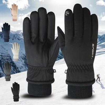 Winter Skihandschuhe Touchscreen Damen Fleece verdickt warm Radfahren Elektroauto Herren wasserdichte Handschuhe Großhandel