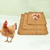 6Pcs Freeze-proof Hens Bedding Mat Square Reptile Box Mat Natural Chicken Hatch Pads  Farm