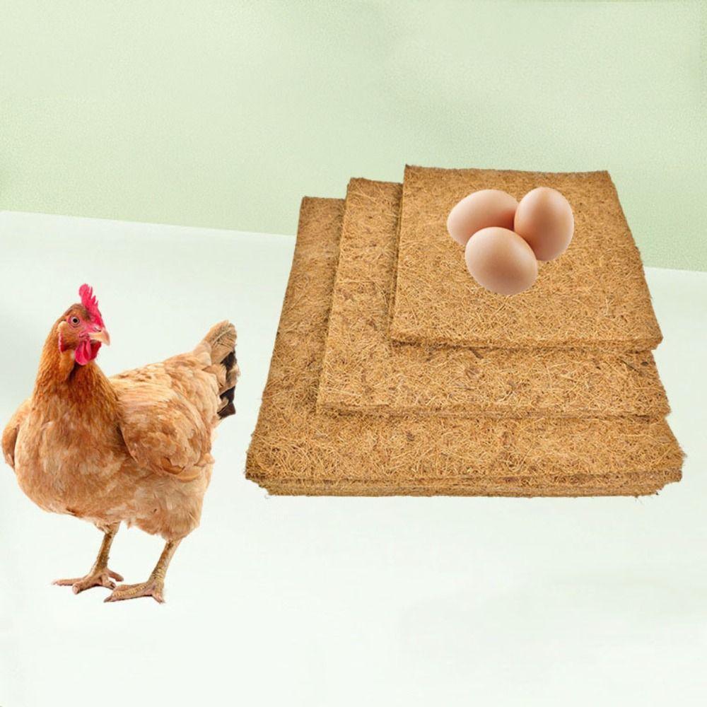 6Pcs Freeze-proof Hens Bedding Mat Square Reptile Box Mat Natural Chicken Hatch Pads  Farm