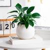 Self Watering Pot for Indoor Plants Plastic Wicking Flower Pot with Inner Pot Modern Decorative Planter for Herbs Flowers House Plants
