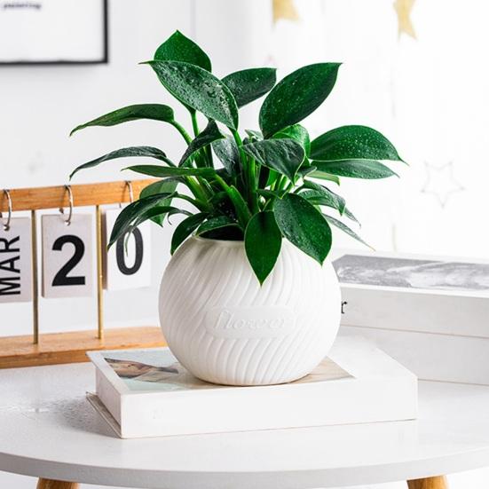 Self Watering Pot for Indoor Plants Plastic Wicking Flower Pot with Inner Pot Modern Decorative Planter for Herbs Flowers House Plants