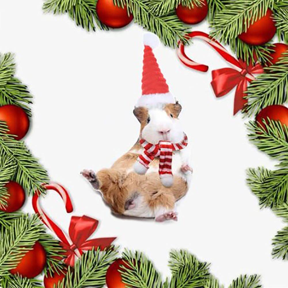 

Дышащий кролик с шарфом рождественский костюм хлопок домашнее животное рождественская шляпа ящерица санта-шляпа кролик